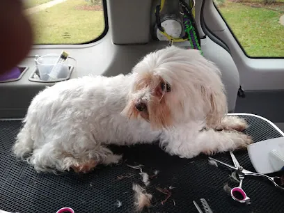 Debbie's Mobile Pet Care — photo from their website