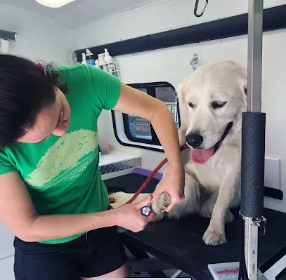 Mobile Pet Nail Trim — photo from their website
