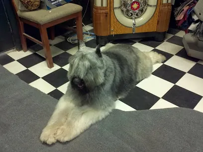 Lots O Love Mobile Pet Salon — photo from their website
