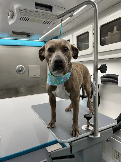 Park N Bark Mobile Grooming — photo from their website