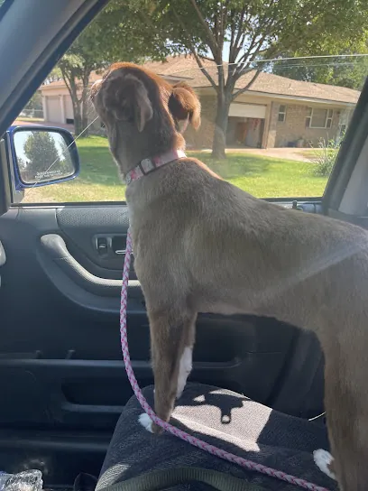 Pups N Sudz Mobile Dog Groomer — photo from their website