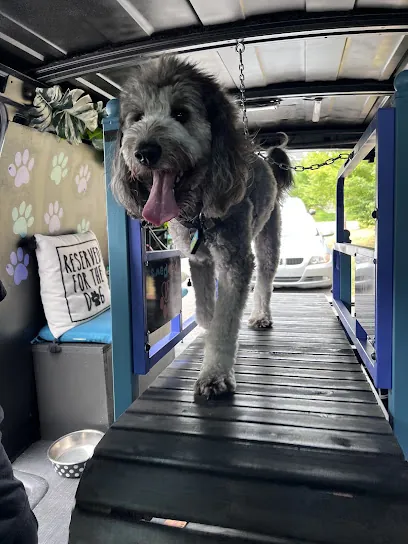 Mickey’s Mobile Dog Running — photo from their website