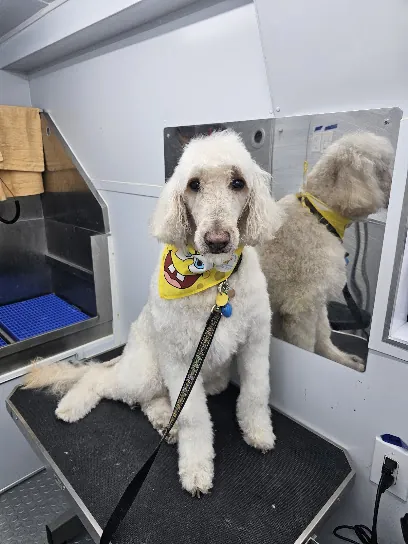 Fur Ever Natural & Fresh Mobile Pet Grooming — photo from their website