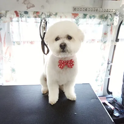 One On One Grooming By Susie — photo from their website