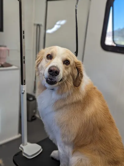 Swanky Paws Mobile Grooming — photo from their website