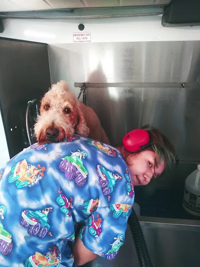 Splash! Mobile Pet Spa — photo from their website