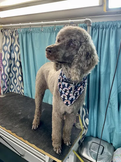 Poochies palace mobile grooming — photo from their website