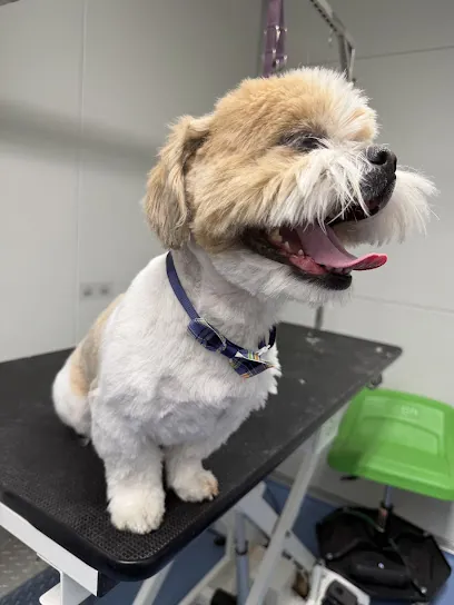 VIPets Mobile Pet Boarding and Grooming — photo from their website