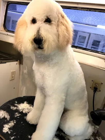 DeBonair Dog Mobile LLC — photo from their website