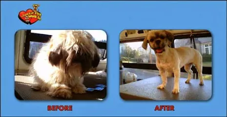 Mobile Pet Grooming of CT — photo from their website