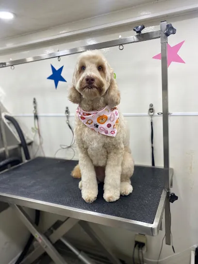 Nani's Mobile Dog Grooming — photo from their website