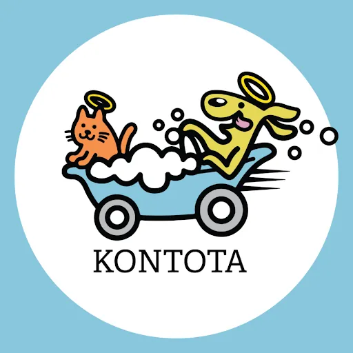 Kontota of North Charlotte — business logo from Google