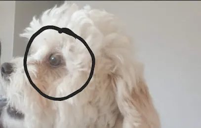 Doggie on the go Petshop & Mobile Grooming — photo from their website