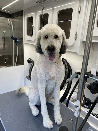 Boops N' Bubbles Mobile Dog Grooming — photo from their website