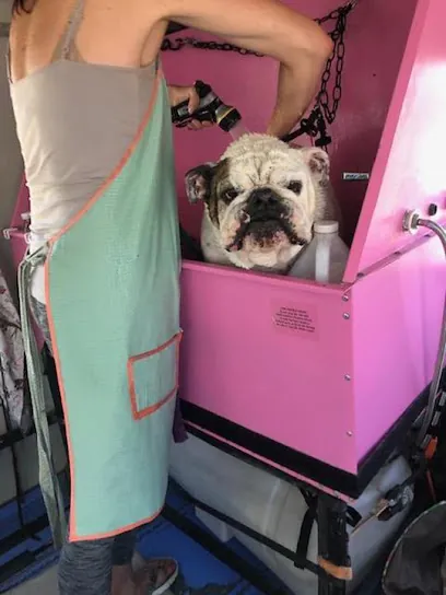 Wynot Mobile Grooming — photo from their website