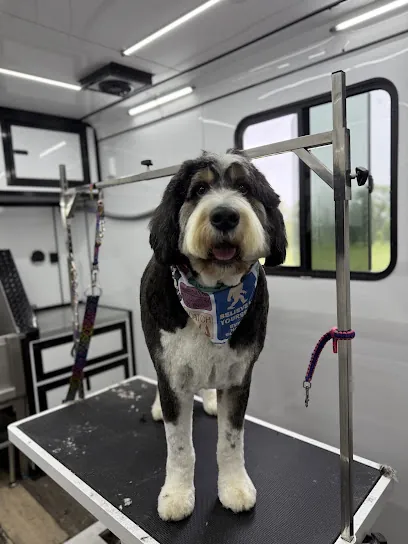 Groom My Friend- Mobile Grooming — photo from their website