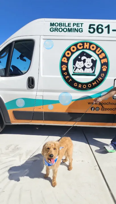 Poochouse Pet Grooming (Mobile) — photo from their website