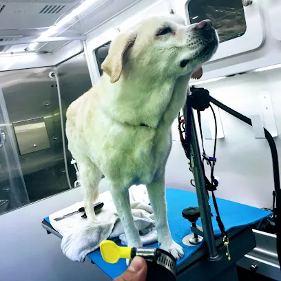 Mr. Groomer Mobile — photo from their website