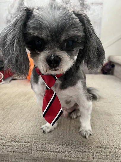 Moises Mobile Grooming — photo from their website