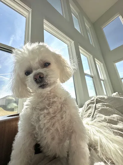 All Dogs Mobile — photo from their website