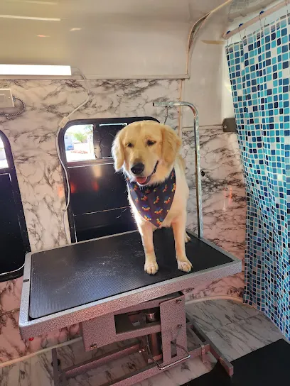 Furry Frenzy Mobile Grooming — photo from their website