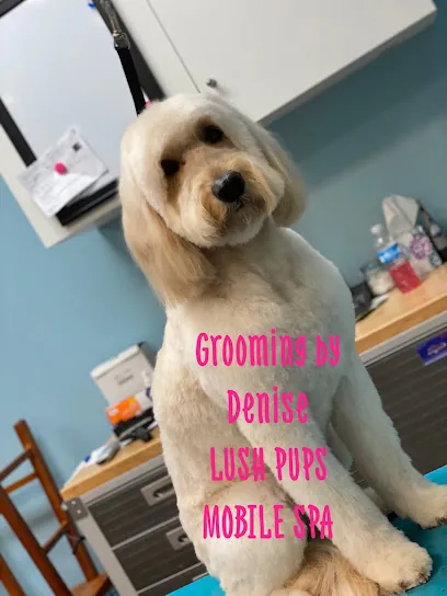 Lush Pups Mobile Spa, LLC — photo from their website
