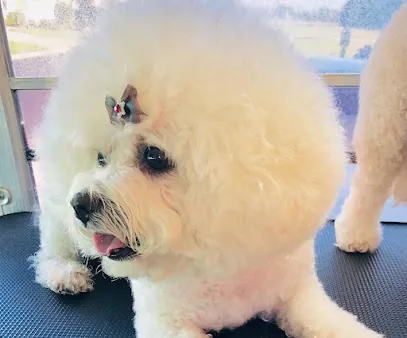 Mi K-9's Cuts & Grooms LLC (mobile pet groomer) — photo from their website