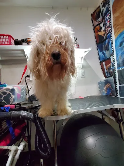 Minneys Groom N'Vroom, LLC Mobile Pet Groomer — photo from their website