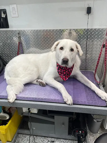 Fab Dogs Mobile Grooming of Fulshear by Pets Tx — photo from their website