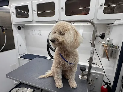 lovyopet mobile grooming — photo from their website