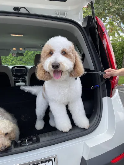 Classic Dogs Miami Mobile & Salon Grooming Daycare and Hotel — photo from their website