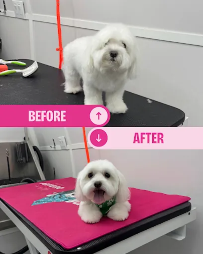 Bubbles Mobile Pets Grooming — photo from their website