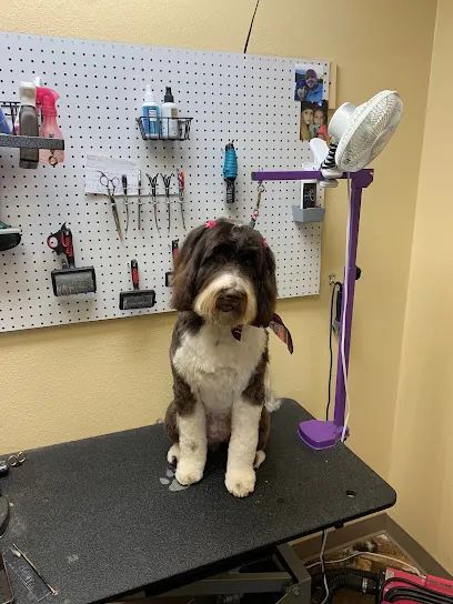 Beauty-Fur Dog Grooming Salon & Mobile — photo from their website