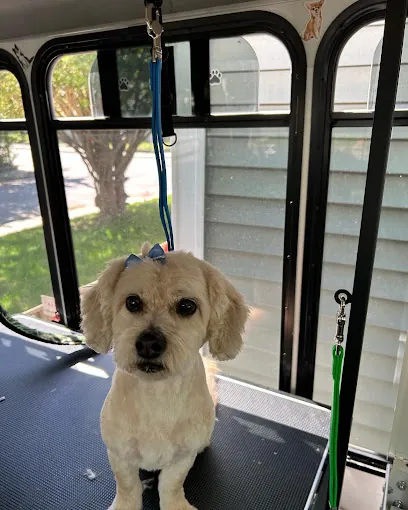 Quality Mobile Pet Grooming — photo from their website