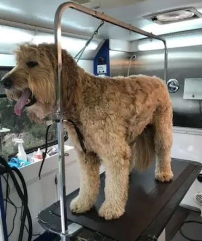 4 Paws Only Mobile Pet Grooming — photo from their website