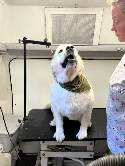 C&D Paws on the go mobile grooming — photo from their website