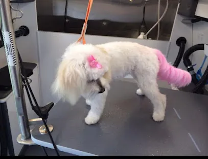 Doggy Do Mobile Pet Salon — photo from their website