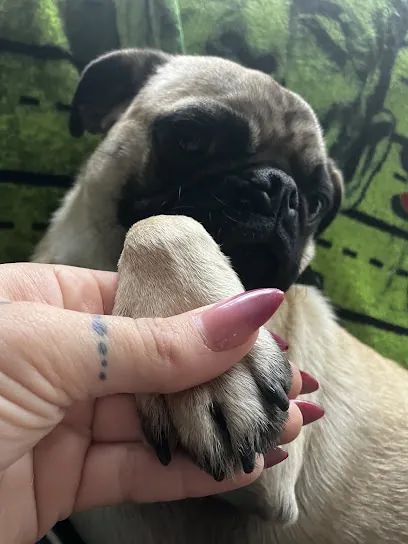 Gentle Paws Mobile Nail Trims — photo from their website