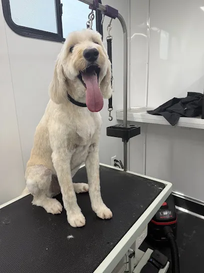 I Style Paws Mobile Grooming — photo from their website