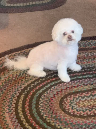 No Place Like Home Mobile Grooming, LLC — photo from their website