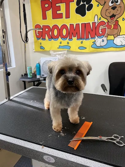 A's Mobile Dog Grooming — photo from their website