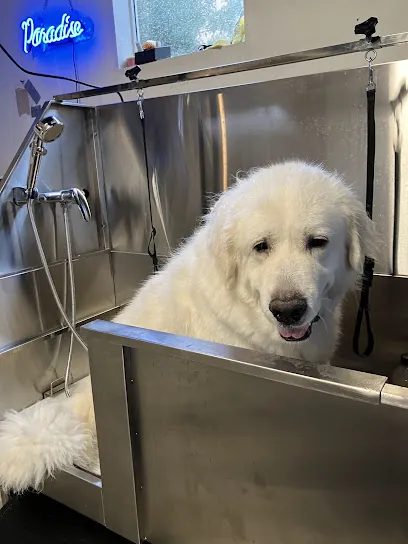 TJ's Mobile Grooming — photo from their website