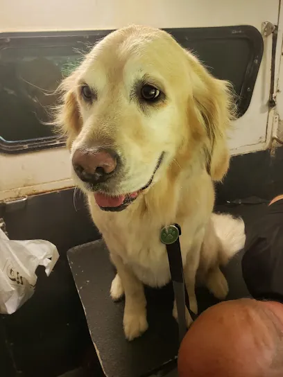 Sugar Paws Mobile Pet Spa — photo from their website