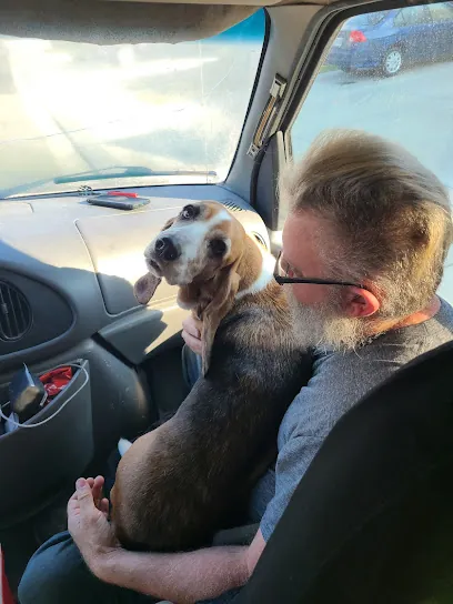 Hair Of The Dog mobile — photo from their website