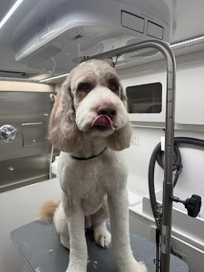 Cr8.Tive Mobile Grooming — photo from their website