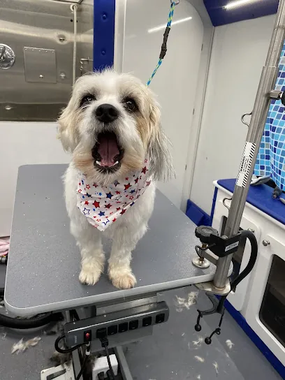 Barking Lot Mobile Pet Grooming — photo from their website