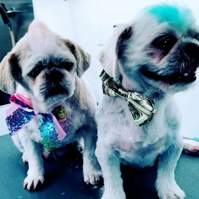 Sniffs & Wiggles Mobile Pet Grooming — photo from their website