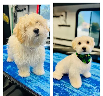Sassy Paws Mobile Pet Salon — photo from their website