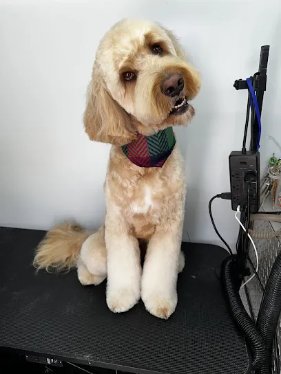 FURGALICIOUS Mobile Pet Spa — photo from their website