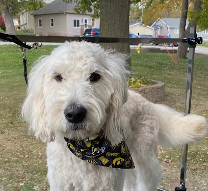 Mobile Daly Dog Salon — photo from their website